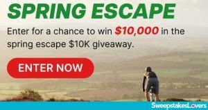 tlc sweepstakes 2023|Travel Channel Sweepstakes : TravelChannel.com .